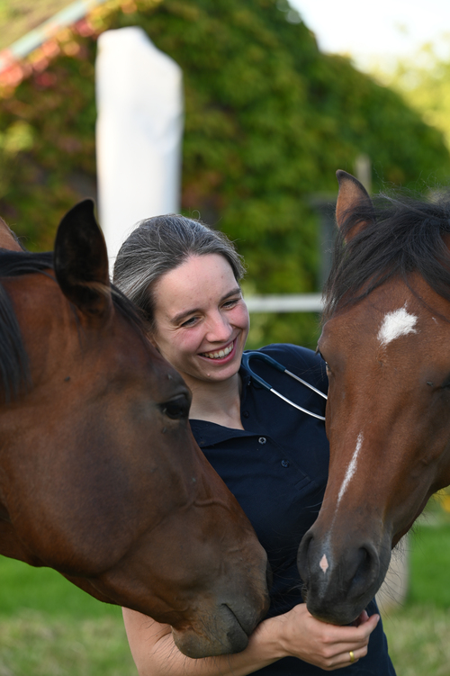 Pferdepraxis Reinfeld - unsere Vision